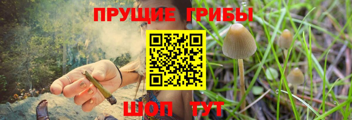 Галлюциногенные грибы Cubensis  Псилоцибиновые грибы Magic Shrooms  Вход с VPN  Гуково 