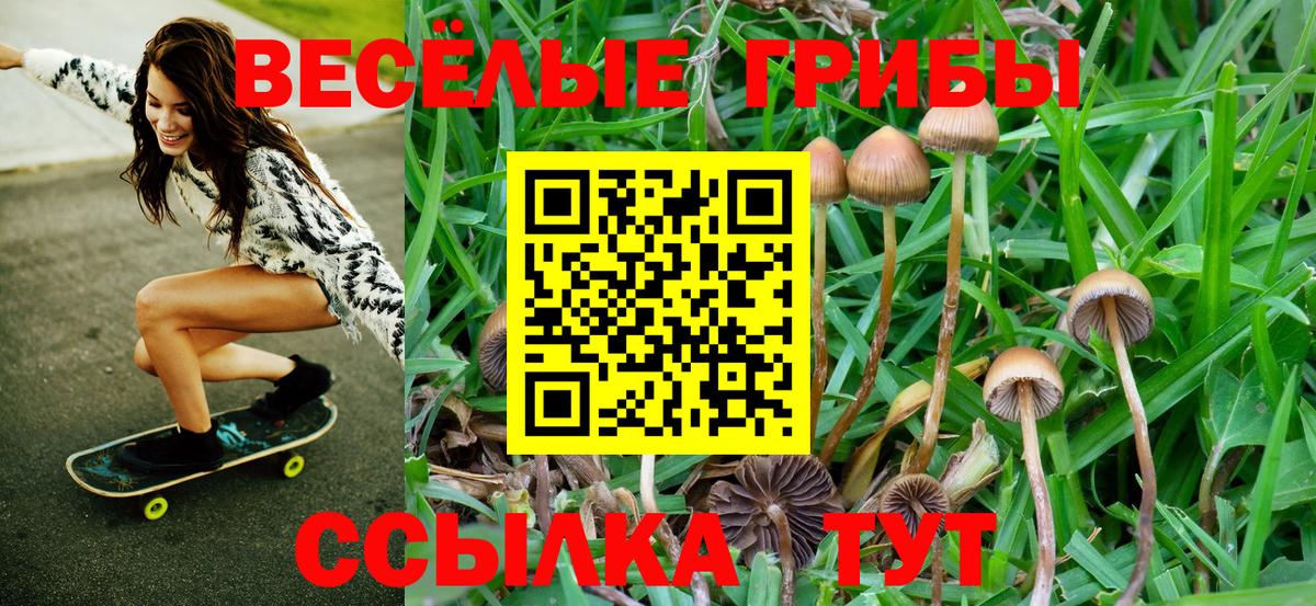 Галлюциногенные грибы прущие грибы Гуково